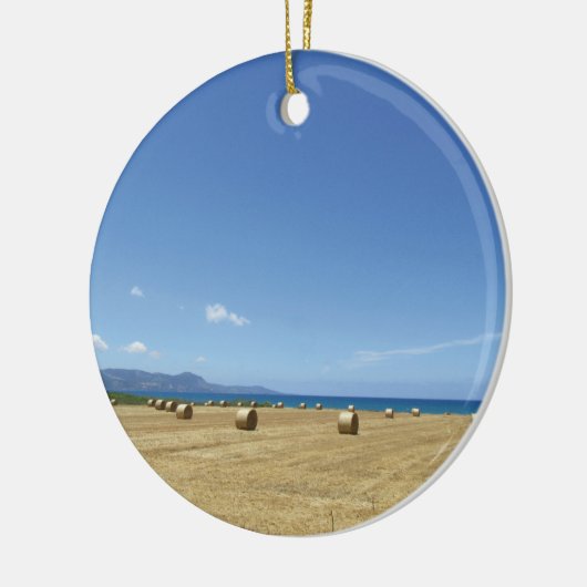 ゴールデン転がオブヘイと深いブルーシーデザイン セラミックオーナメント (左)