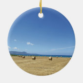 ゴールデン転がオブヘイと深いブルーシーデザイン セラミックオーナメント (裏面)