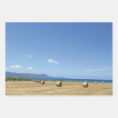 ゴールデン転がオブヘイと深いブルーシーデザイン ラッピングペーパーシート (正面2)