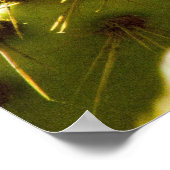 ゴールデン開花 ポスター (角)