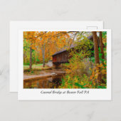 ゴールデン離れ秋とタイムレス美しい：ビーバーPA ポストカード (正面/裏面)