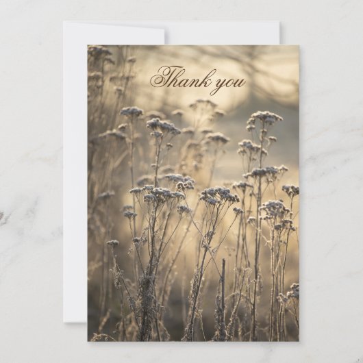ゴールデン霜の降りたモーニングフラットサンキューカード サンキューカード (正面)