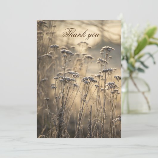ゴールデン霜の降りたモーニングフラットサンキューカード サンキューカード (スタンド正面)