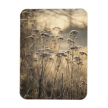 ゴールデン霜の降りたモーニングフラミッシュカントリー側