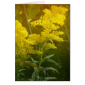 ゴールデン (正面)