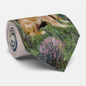 ゴールデン1 – バイザセーヌ ネクタイ (ロール)