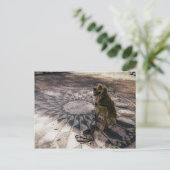 ゴールデン・イン・ストロベリーフィールド想像「ハガキ」 ポストカード (スタンド正面)