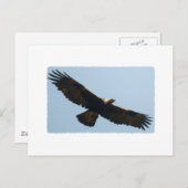ゴールデン・イーグル ポストカード (正面/裏面)
