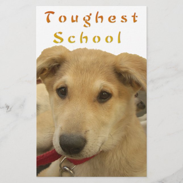 ゴールデン・ウィズダム – 生命学校を犬のように見る|過去記事 (正面)