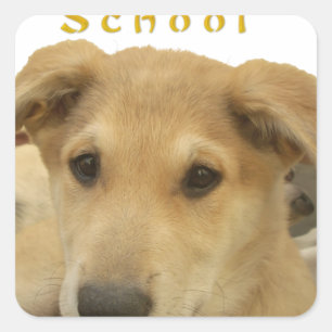 ゴールデン・ウィズダム – 生命学校を犬のように見る 過去記事 スクエアシール