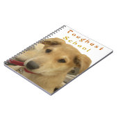 ゴールデン・ウィズダム – 生命学校を犬のように見る|過去記事 ノートブック (左側)