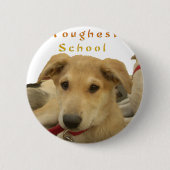 ゴールデン・ウィズダム – 生命学校を犬のように見る|過去記事 缶バッジ (正面)