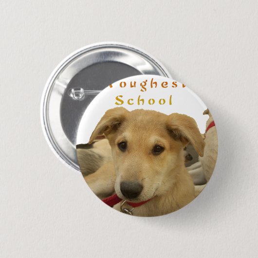 ゴールデン・ウィズダム – 生命学校を犬のように見る|過去記事 缶バッジ (正面&裏面)