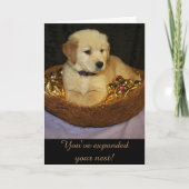 ゴールデン・エキスパンド・ザ・ネストの新たな追加 カード (正面)