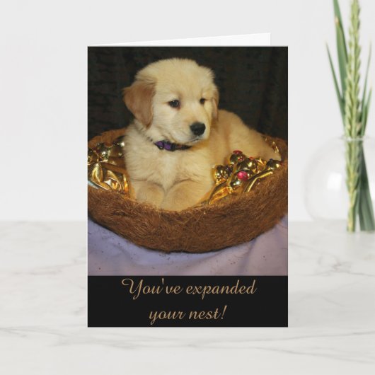 ゴールデン・エキスパンド・ザ・ネストの新たな追加 カード (正面)