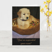 ゴールデン・エキスパンド・ザ・ネストの新たな追加 カード (黄色い花)