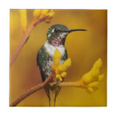 ゴールデン・グロー タイル (正面)