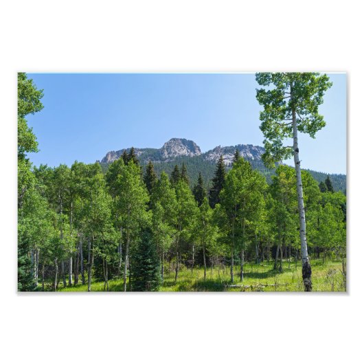 ゴールデン・ゲートの森の上のソロジン山頂 フォトプリント            (正面)