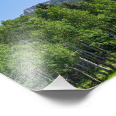 ゴールデン・ゲートの森の上のソロジン山頂 フォトプリント            (角)