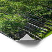 ゴールデン・ゲートの森の上のソロジン山頂 ポスター (角)