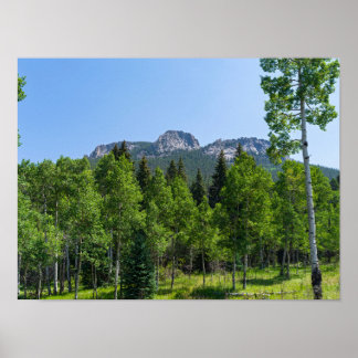 ゴールデン・ゲートの森の上のソロジン山頂 ポスター