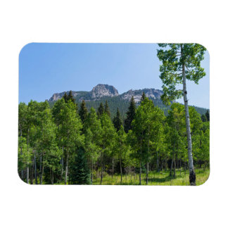 ゴールデン・ゲートの森の上のソロジン山頂 マグネット