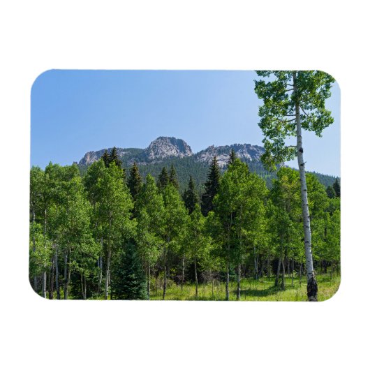 ゴールデン・ゲートの森の上のソロジン山頂 マグネット (横)