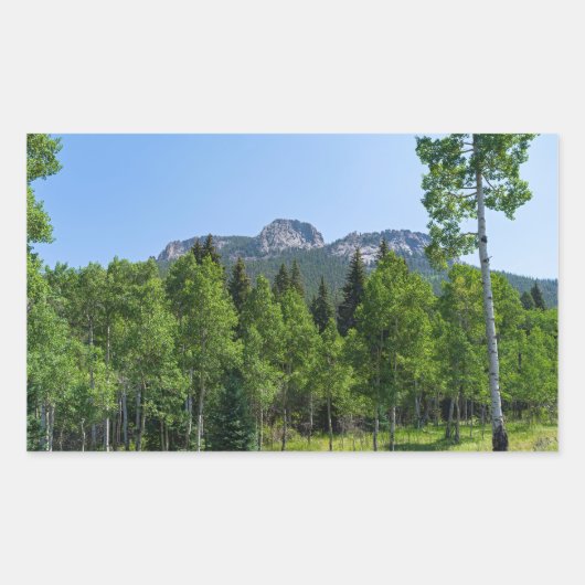 ゴールデン・ゲートの森の上のソロジン山頂 長方形シール (正面)