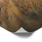 ゴールデン・サバンナのアルマジロ ポスター (角)