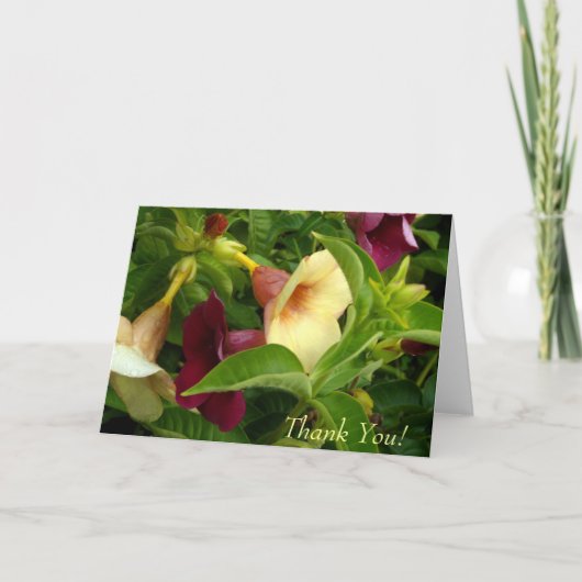 ゴールデン トランペット 感謝カード (正面)