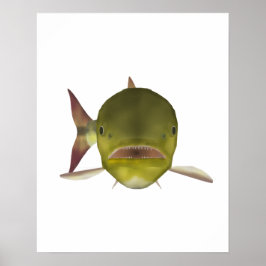 ゴールデン・ドラド魚の頭部 ポスター