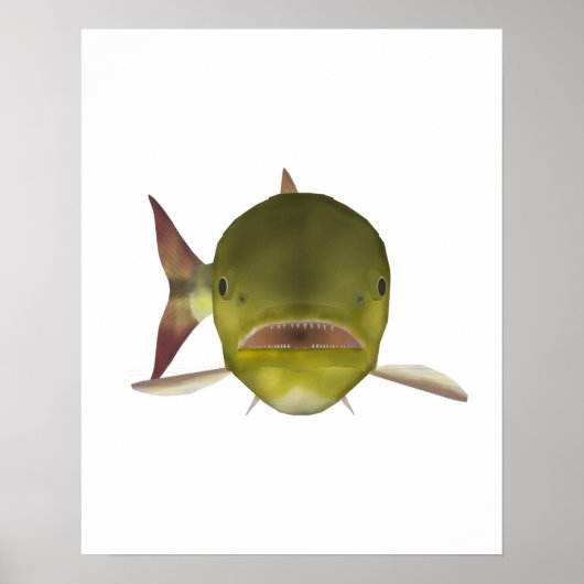 ゴールデン・ドラド魚の頭部 ポスター (正面)