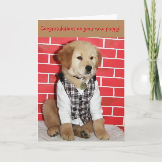 ゴールデン・ニュー・パピー カード (正面)