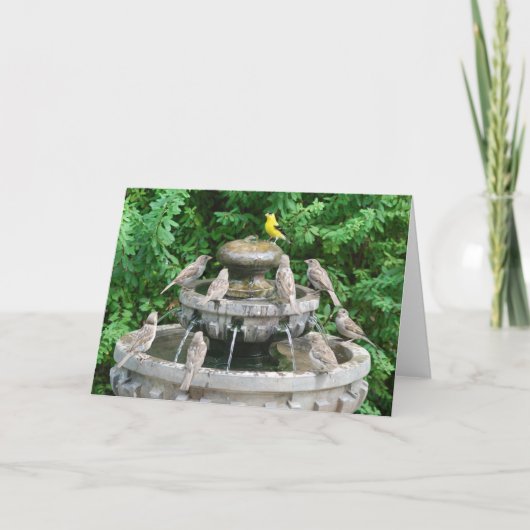 ゴールデン・ボーイ カード (正面)