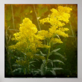 ゴールデン ポスター (正面)