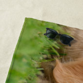 ゴールデン・リトリーバーのかわいい子犬によってはのこ仕上げハンマーの写真が夢を見ます ビーチタオル (インサイチュ)