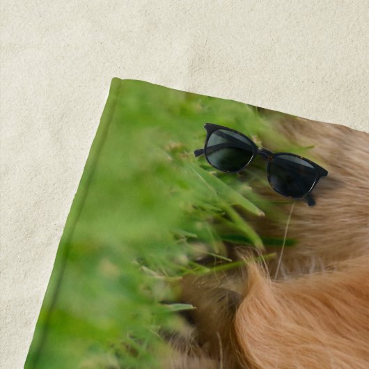 ゴールデン・リトリーバーのかわいい子犬によってはのこ仕上げハンマーの写真が夢を見ます ビーチタオル (インサイチュ)