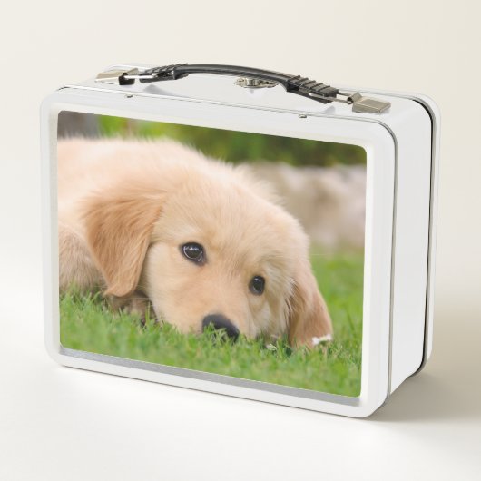 ゴールデン・リトリーバーのかわいい子犬によってはのこ仕上げハンマーの写真が夢を見ます メタルランチボックス (裏面)