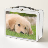 ゴールデン・リトリーバーのかわいい子犬によってはのこ仕上げハンマーの写真が夢を見ます メタルランチボックス (正面)