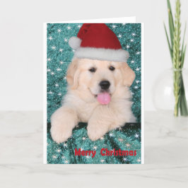 ゴールデン・リトリーバーのクリスマスの子犬 シーズンカード