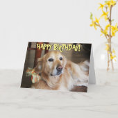 ゴールデン・リトリーバーのバースデー・カード カード (黄色い花)