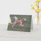 ゴールデン・リトリーバーのバースデー・カード「Age カード (黄色い花)