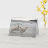 ゴールデン・リトリーバーのブランクの写真カード カード (黄色い花)