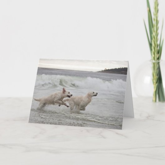 ゴールデン・リトリーバーのブランクの写真カード カード (正面)