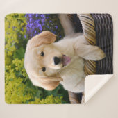 ゴールデン・リトリーバーのベビー犬の子犬おもしろいなペット写真。 シェルパブランケット (正面(横))