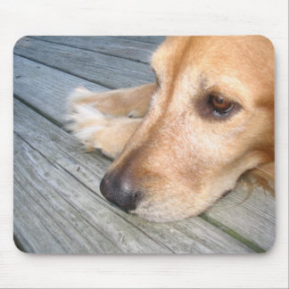 ゴールデン・リトリーバーのマウスパッド マウスパッド