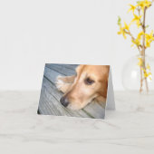 ゴールデン・リトリーバーのメッセージカード カード (黄色い花)