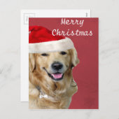 ゴールデン・リトリーバーのメリークリスマス シーズンポストカード (正面/裏面)