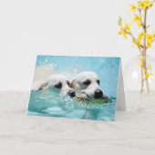 ゴールデン・リトリーバーの写真カード カード (黄色い花)