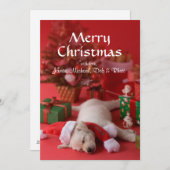 ゴールデン・リトリーバーの子犬およびクリスマス2 シーズンカード (正面/裏面)